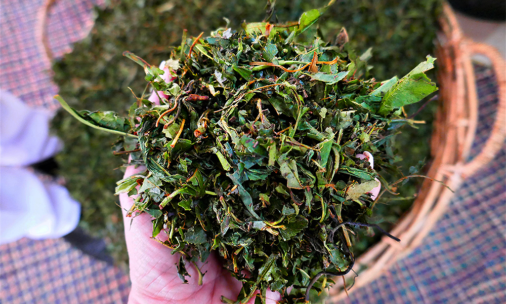Tee Produktion im "Tee Land" Sri Lanka, © Srilanka-Lifestyle.com by Nathalie Gütermann. Hier: Das Rollen!