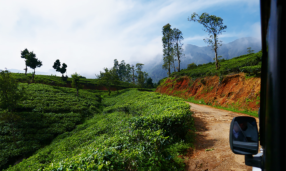 Teeplantagen im "Tee Land" Sri Lanka, © Srilanka-Lifestyle.com by Nathalie Gütermann