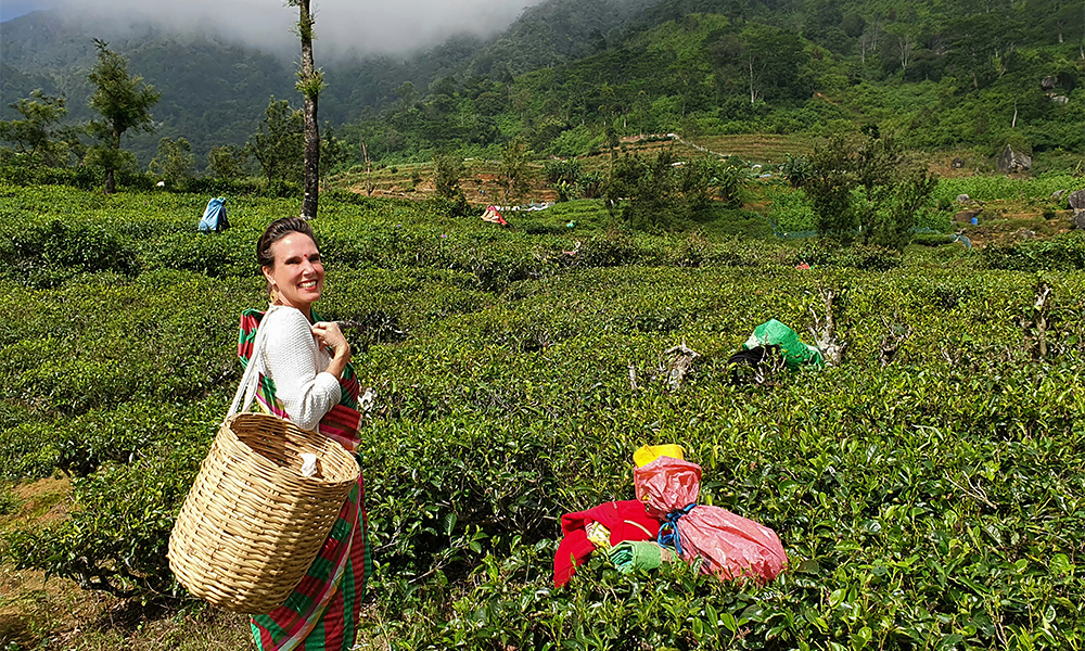 Teepflücken im "Tee Land" Sri Lanka, © Srilanka-Lifestyle.com by Nathalie Gütermann